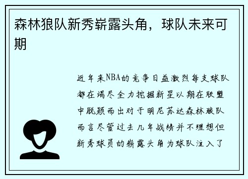森林狼队新秀崭露头角，球队未来可期
