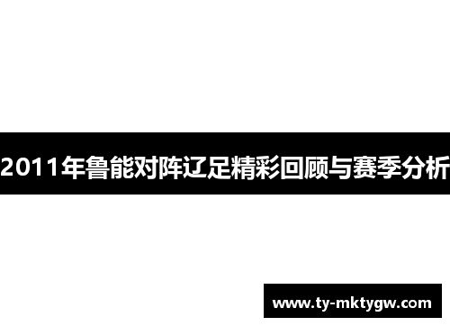 2011年鲁能对阵辽足精彩回顾与赛季分析
